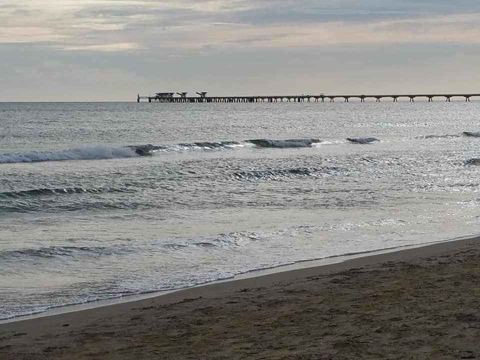 Mediterrania Marina Puerto de Sagunto Bagian luar foto