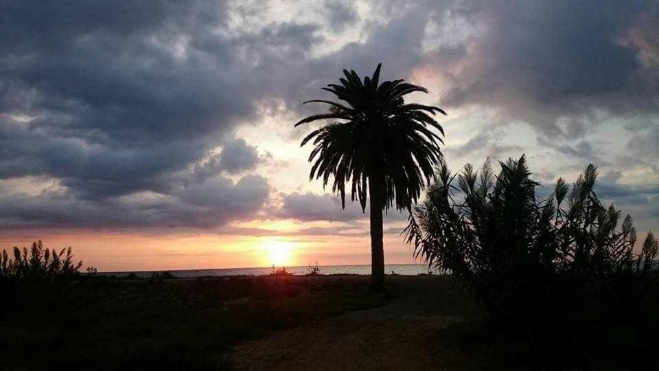 Mediterrania Marina Puerto de Sagunto Bagian luar foto